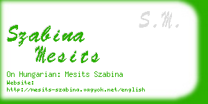 szabina mesits business card